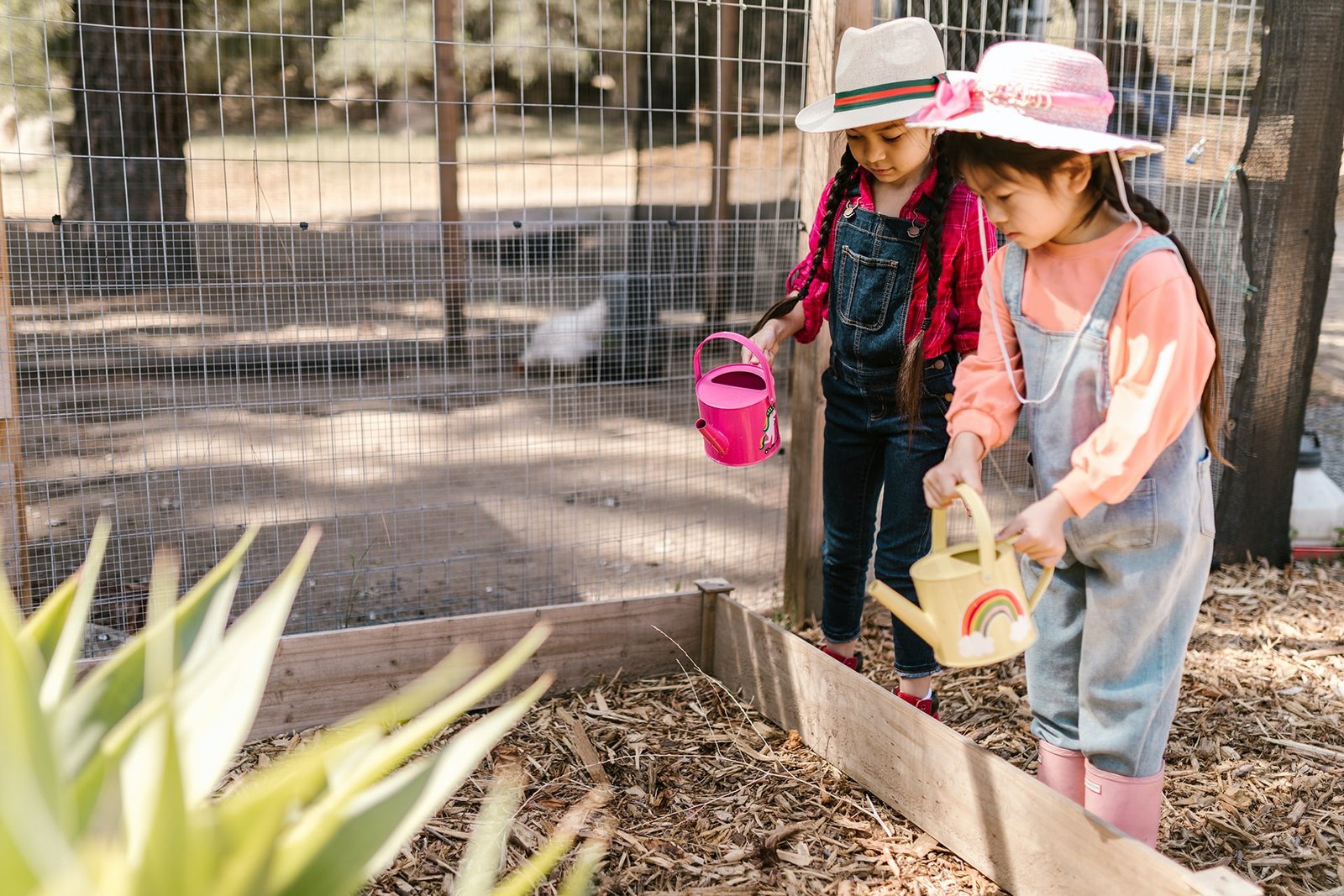Kids Activities